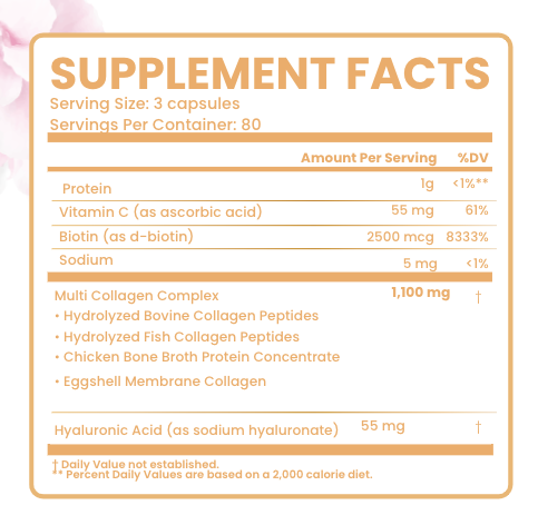 Collagen Multi Complex - 240 Capsules